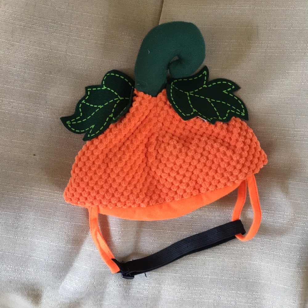Dog Pumpkin hat